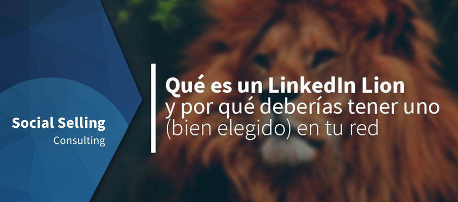 Qué es un LinkedIn Lion